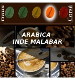Café INDES MALABAR pour dosettes compatibles Nespresso®