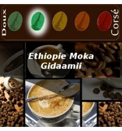 Ethiopie Moka Harrar Longberry